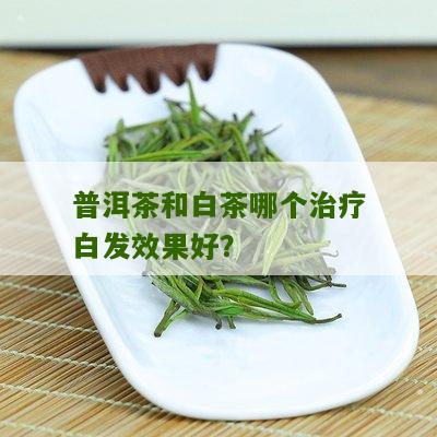 普洱茶和白茶哪个治疗白发效果好？