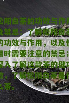 松阳白茶的功效与作用及禁忌：了解松阳白茶的功效与作用，以及使用时需要注意的禁忌；深入了解这款茶的健功效，了解松阳白茶是什么茶。