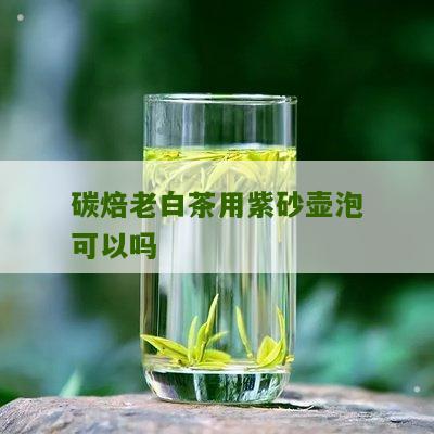 碳焙老白茶用紫砂壶泡可以吗