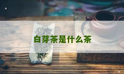 白芽茶是什么茶