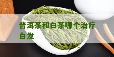 普洱茶和白茶哪个治疗白发