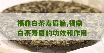 福鼎白茶寿眉篇,福鼎白茶寿眉的功效和作用