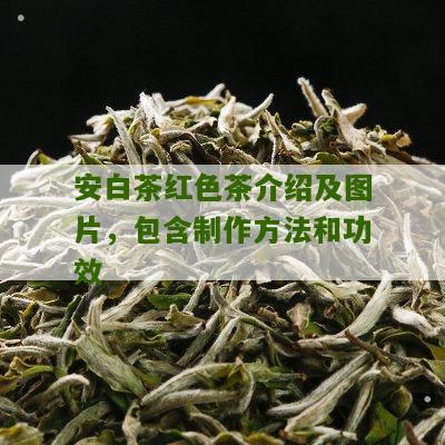 安白茶红色茶介绍及图片，包含制作方法和功效