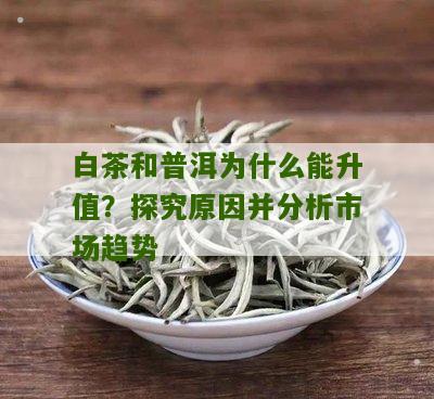 白茶和普洱为什么能升值？探究原因并分析市场趋势