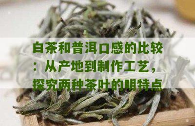 白茶和普洱口感的比较：从产地到制作工艺，探究两种茶叶的明特点