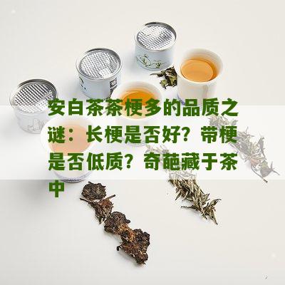 安白茶茶梗多的品质之谜：长梗是否好？带梗是否低质？奇葩藏于茶中