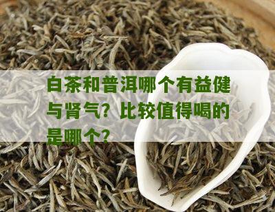 白茶和普洱哪个有益健与肾气？比较值得喝的是哪个？