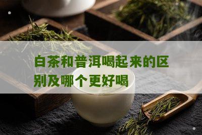 白茶和普洱喝起来的区别及哪个更好喝