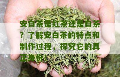 安白茶是红茶还是白茶？了解安白茶的特点和制作过程，探究它的真正身份！