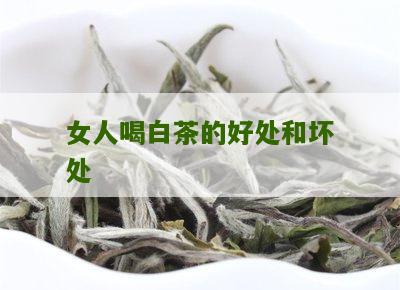 女人喝白茶的好处和坏处