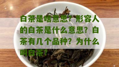 白茶是啥意思？形容人的白茶是什么意思？白茶有几个品种？为什么叫白茶？