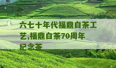 六七十年代福鼎白茶工艺,福鼎白茶70周年纪念茶