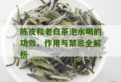 陈皮和老白茶泡水喝的功效、作用与禁忌全解析