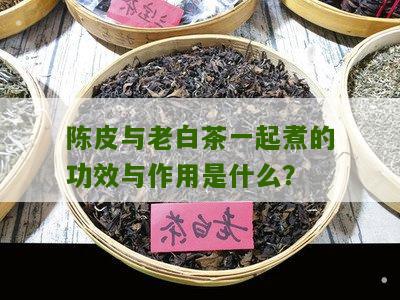 陈皮与老白茶一起煮的功效与作用是什么？