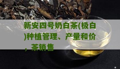 新安四号奶白茶(极白)种植管理、产量和价，茶销售