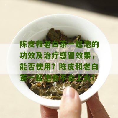 陈皮和老白茶一起泡的功效及治疗感冒效果，能否使用？陈皮和老白茶一起泡会不会上火？