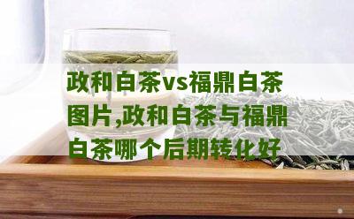 政和白茶vs福鼎白茶图片,政和白茶与福鼎白茶哪个后期转化好