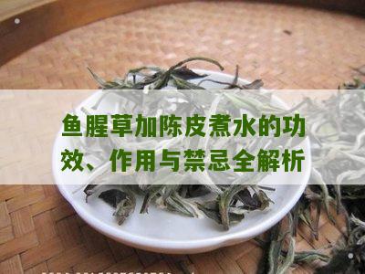 鱼腥草加陈皮煮水的功效、作用与禁忌全解析