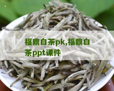 福鼎白茶pk,福鼎白茶ppt课件