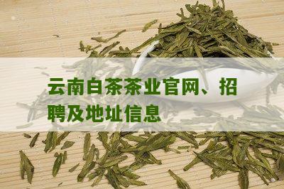 云南白茶茶业官网、招聘及地址信息