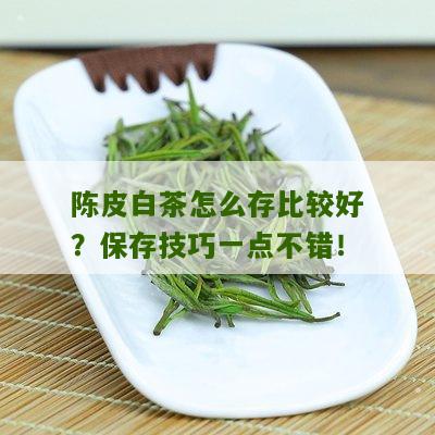 陈皮白茶怎么存比较好？保存技巧一点不错！