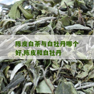 陈皮白茶与白牡丹哪个好,陈皮和白牡丹