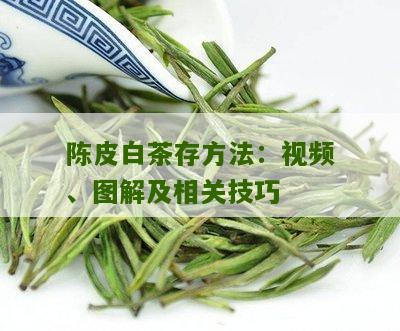 陈皮白茶存方法：视频、图解及相关技巧