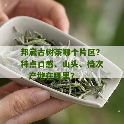 邦崴古树茶哪个片区？特点口感、山头、档次、产地在哪里？