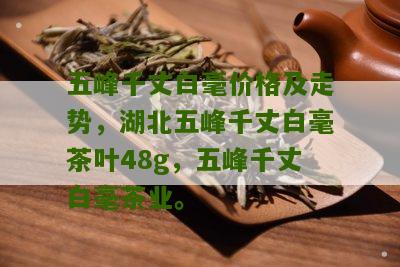 五峰千丈白毫价格及走势，湖北五峰千丈白毫茶叶48g，五峰千丈白毫茶业。