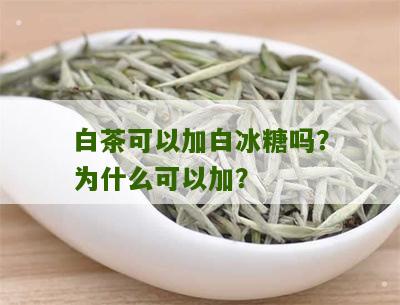 白茶可以加白冰糖吗？为什么可以加？