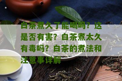 白茶煮久了能喝吗？这是否有害？白茶煮太久有毒吗？白茶的煮法和注意事详解