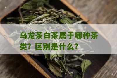 乌龙茶白茶属于哪种茶类？区别是什么？