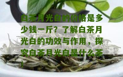 白茶月光白的价格是多少钱一斤？了解白茶月光白的功效与作用，探究白茶月光白是什么茶！