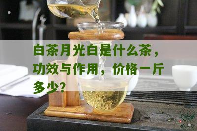 白茶月光白是什么茶，功效与作用，价格一斤多少？