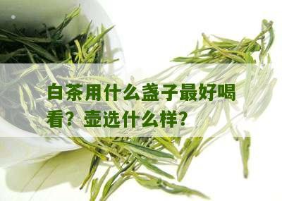 白茶用什么盏子最好喝看？壶选什么样？