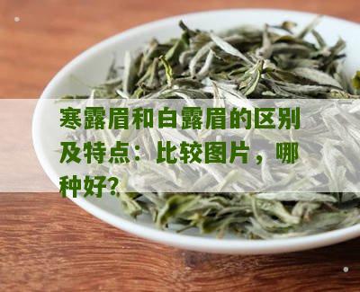 寒露眉和白露眉的区别及特点：比较图片，哪种好？