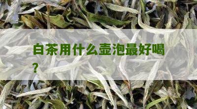 白茶用什么壶泡最好喝？