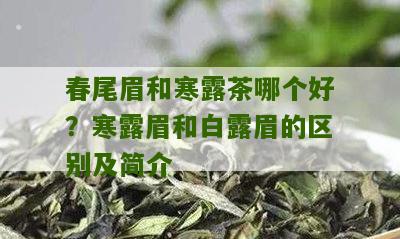 春尾眉和寒露茶哪个好？寒露眉和白露眉的区别及简介