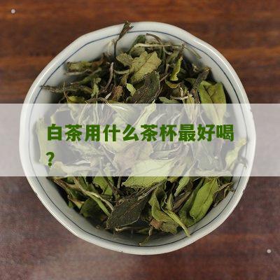 白茶用什么茶杯最好喝？