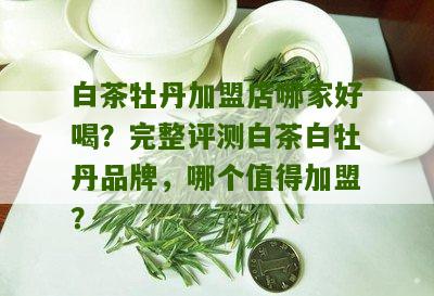 白茶牡丹加盟店哪家好喝？完整评测白茶白牡丹品牌，哪个值得加盟？