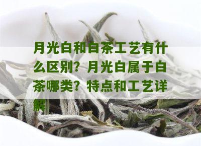 月光白和白茶工艺有什么区别？月光白属于白茶哪类？特点和工艺详解