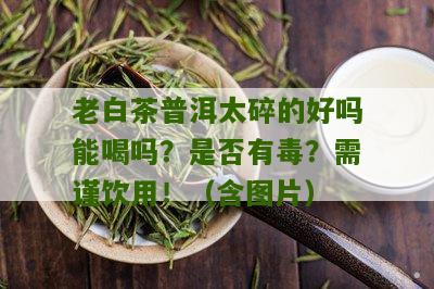 老白茶普洱太碎的好吗能喝吗？是否有毒？需谨饮用！（含图片）