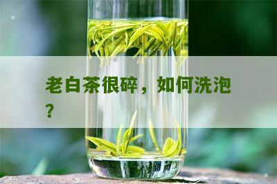 老白茶很碎，如何洗泡？