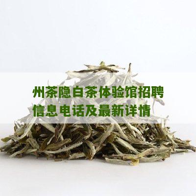 州茶隐白茶体验馆招聘信息电话及最新详情