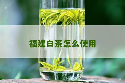 福建白茶怎么使用