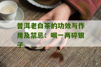 普洱老白茶的功效与作用及禁忌：喝一两碎银子