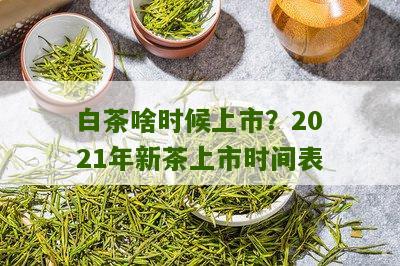 白茶啥时候上市？2021年新茶上市时间表