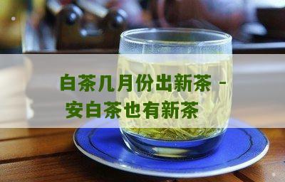 白茶几月份出新茶 - 安白茶也有新茶