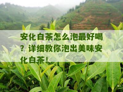 安化白茶怎么泡最好喝？详细教你泡出美味安化白茶！