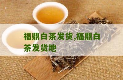 福鼎白茶发货,福鼎白茶发货地